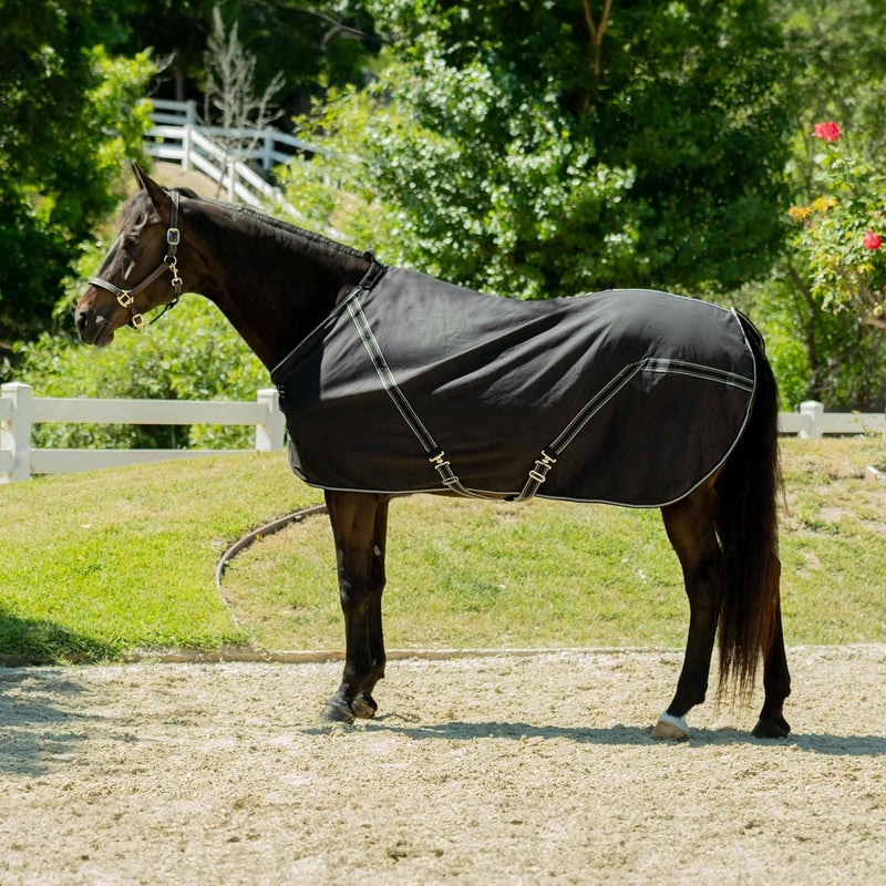 Equinavia Fryd 100% Cotton Stable Blanket for Horses | No Fill - Black - 80 in - Image 3